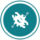 Custom Web Application